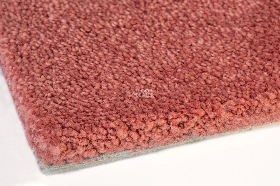 Vorwerk Superior 1067 Mira Vorwerk 1n49 фото 4 | FLOORDEALER